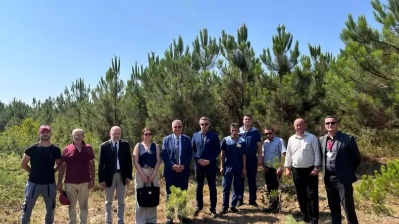 Altınbaş Üniversitesi, Orman Yangınında Şehit Olanlar İçin Fidan Dikti